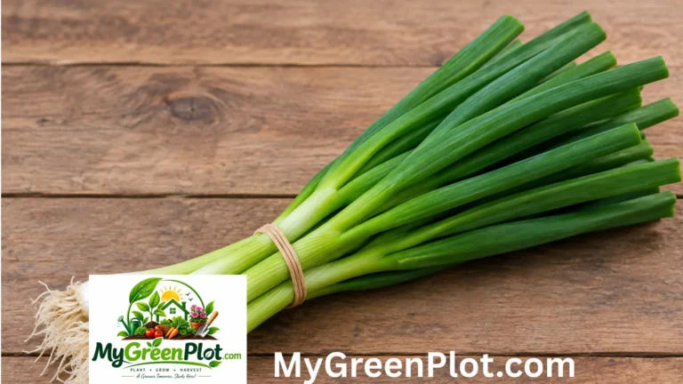 Green Onion Shortage