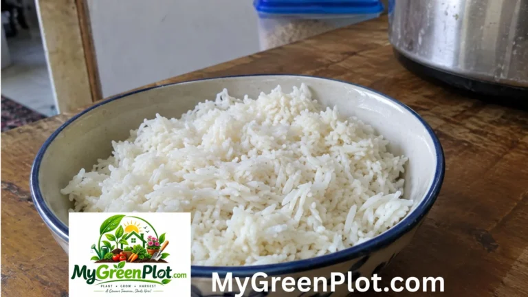 Is Rice a Vegetable